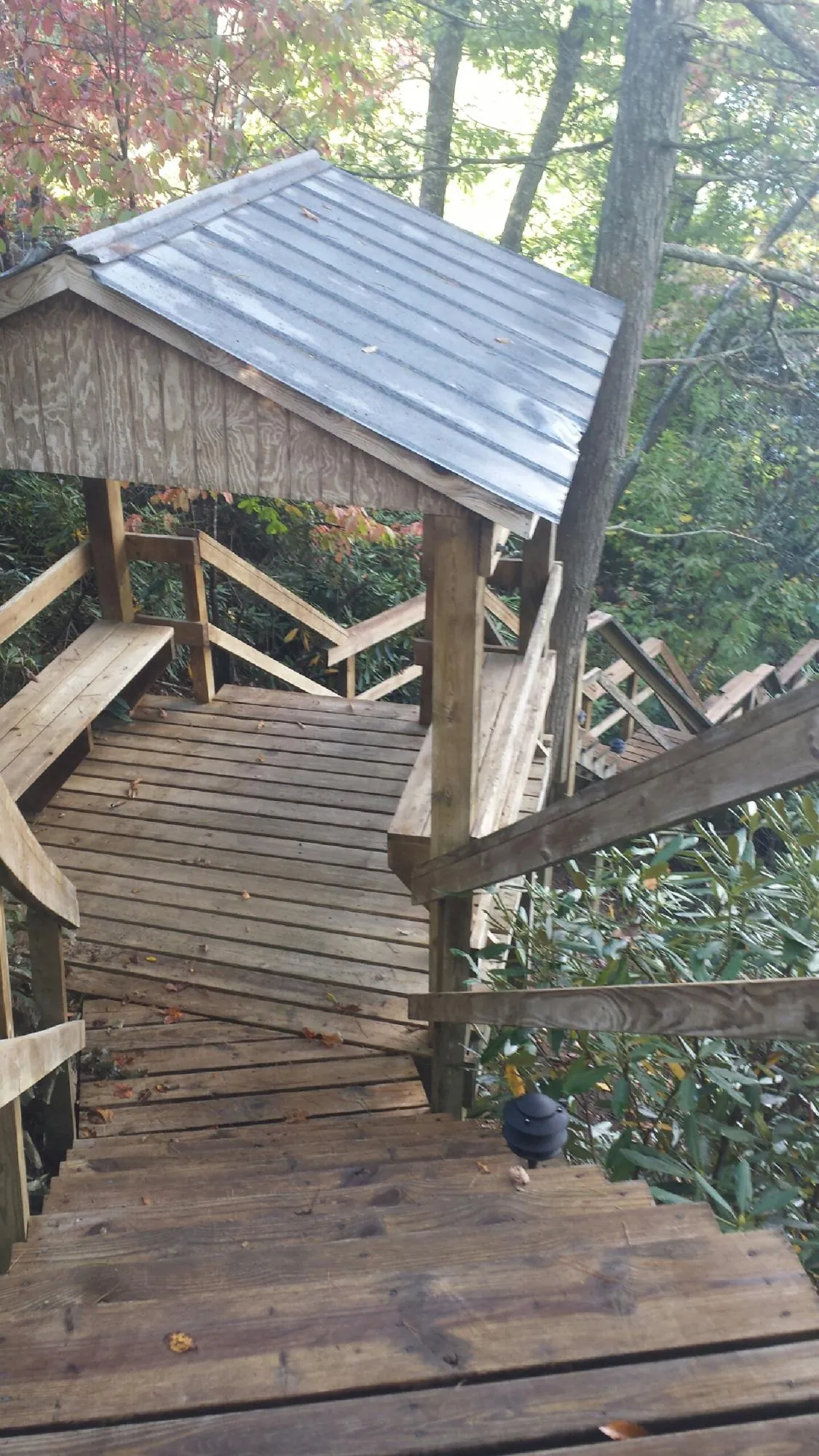 Metal roofed shelter over wooden steps on a wooded walkway — Skylight Repair & Installation work by our crew in Pearl City